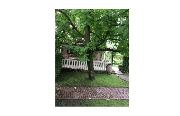 Natuurhuisje in Kerk-Avezaath