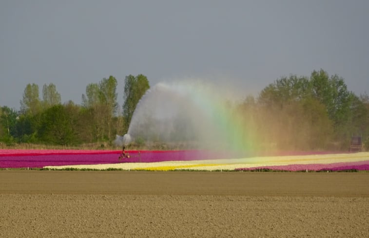 Natuurhuisje in Hulshorst