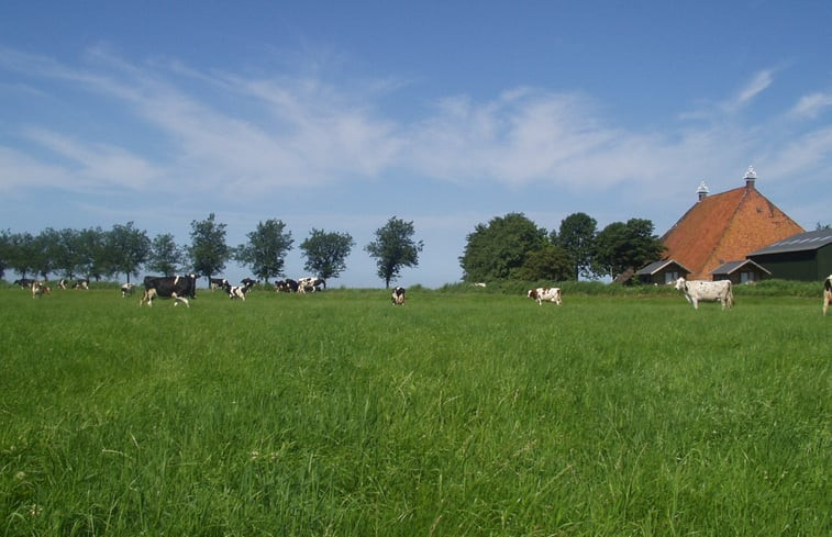 Natuurhuisje in Nijhuizum