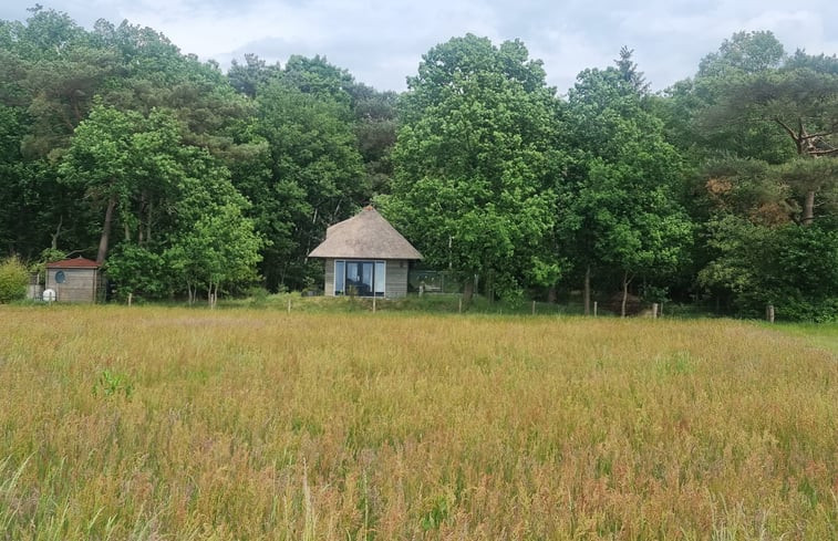 Natuurhuisje in Diffelen (Hardenberg)