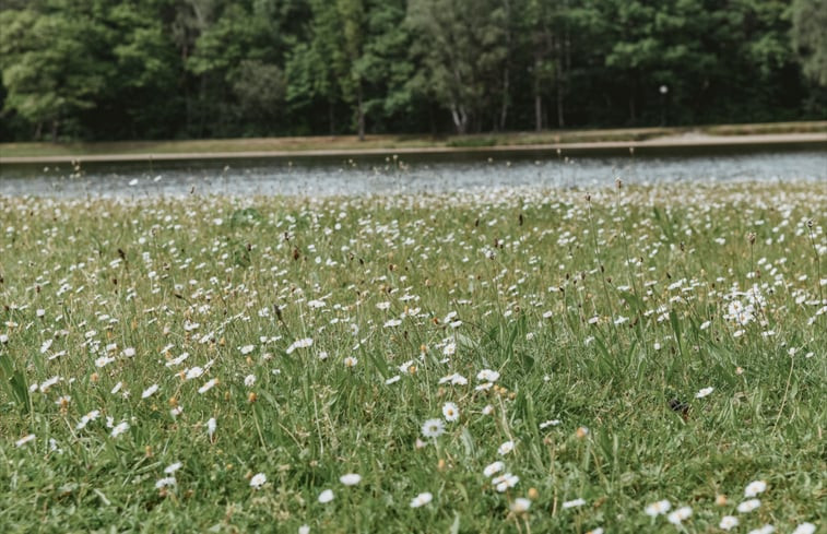 Natuurhuisje in Lanaken