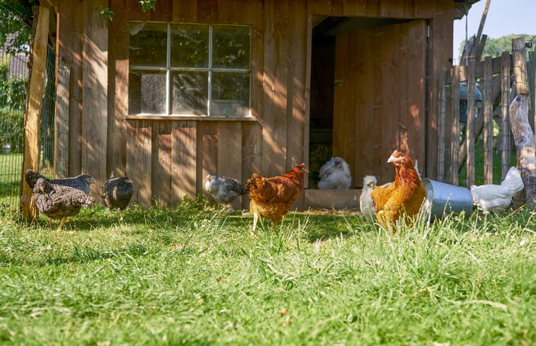 Natuurhuisje in Mechelen