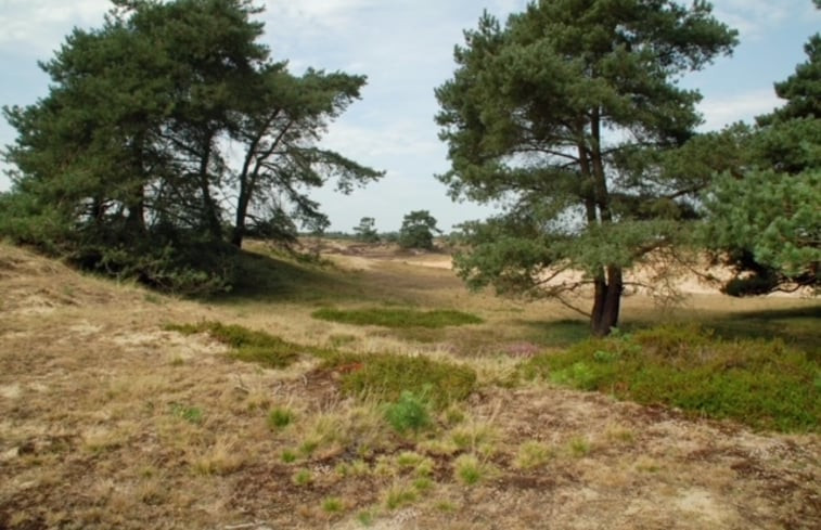 Natuurhuisje in Elsloo