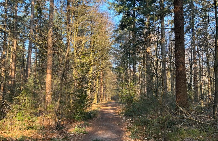 Natuurhuisje in Ermelo