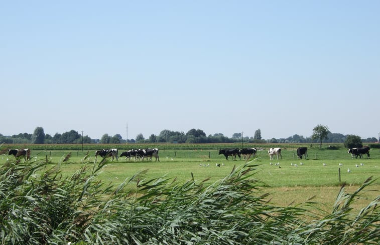 Natuurhuisje in Wagenberg