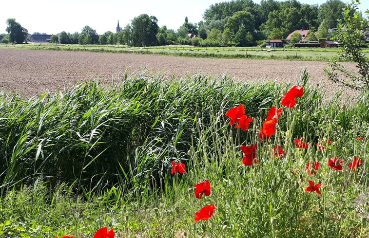 Natuurhuisje in Hank