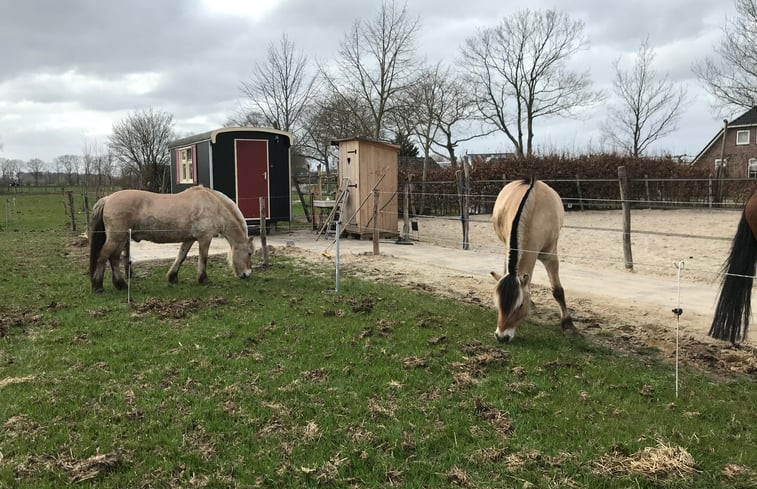 Natuurhuisje in Beilen