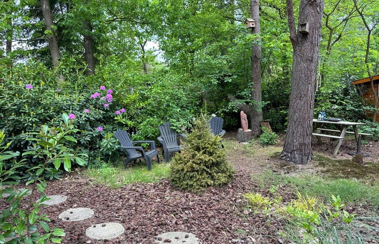 Natuurhuisje in Hattemerbroek