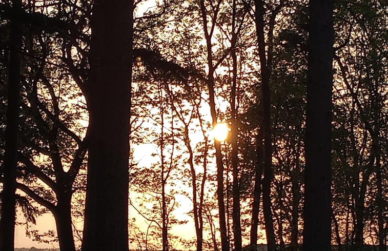 Natuurhuisje in Eeserveen