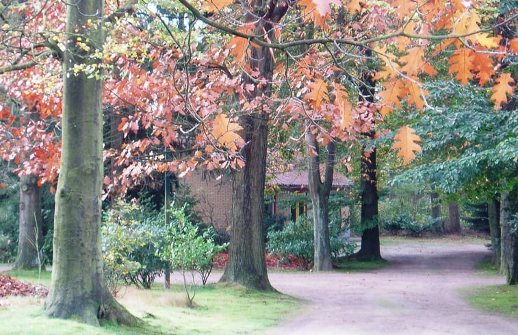 Natuurhuisje in Lage Mierde