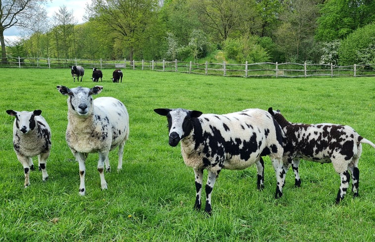 Natuurhuisje in Maarsbergen