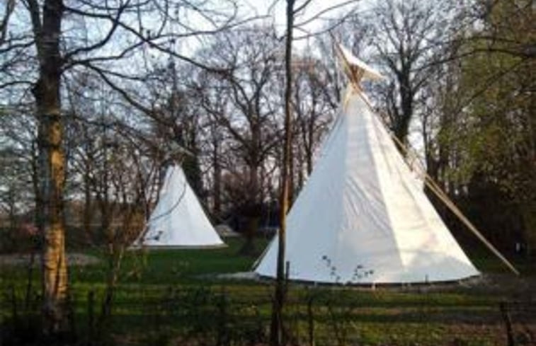 Natuurhuisje in Hengelo