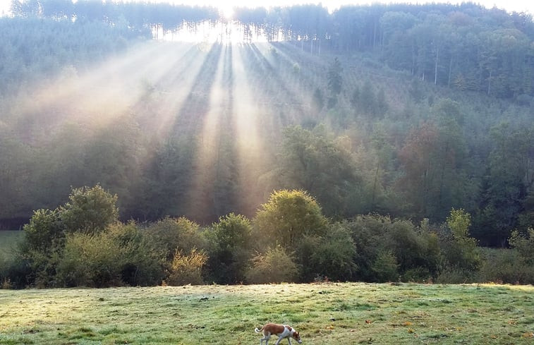 Natuurhuisje in Lierneux - Trou de Bra