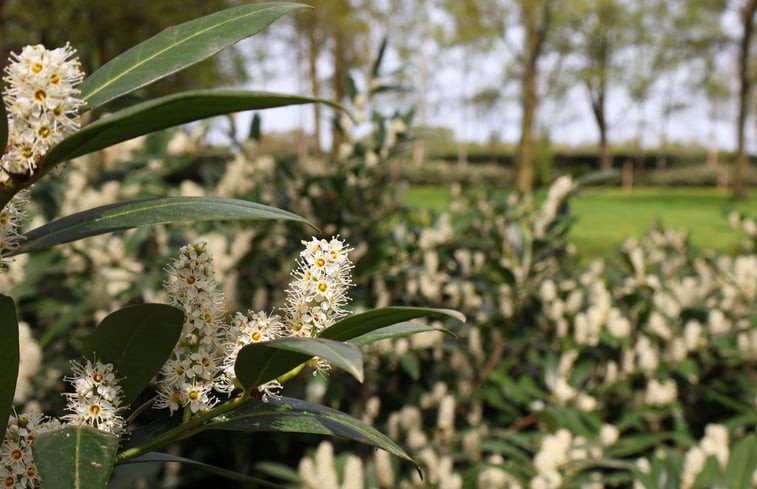 Natuurhuisje in Sevenum