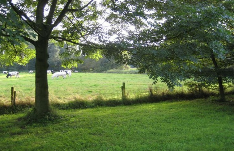 Natuurhuisje in Oirschot