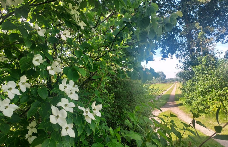 Natuurhuisje in Emst