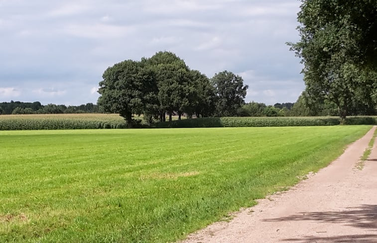 Natuurhuisje in Ruurlo