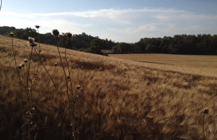 Natuurhuisje in Chiusi (Siena)