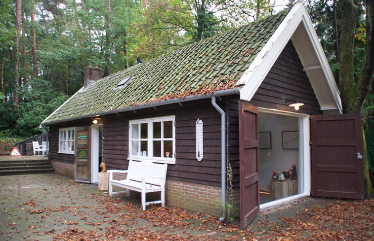 Natuurhuisje in Bosch en Duin