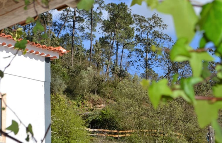 Natuurhuisje in canos,vimeiro