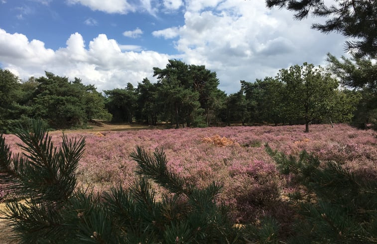 Natuurhuisje in De Rips