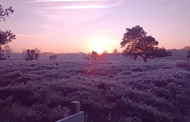 Natuurhuisje in Zeegse