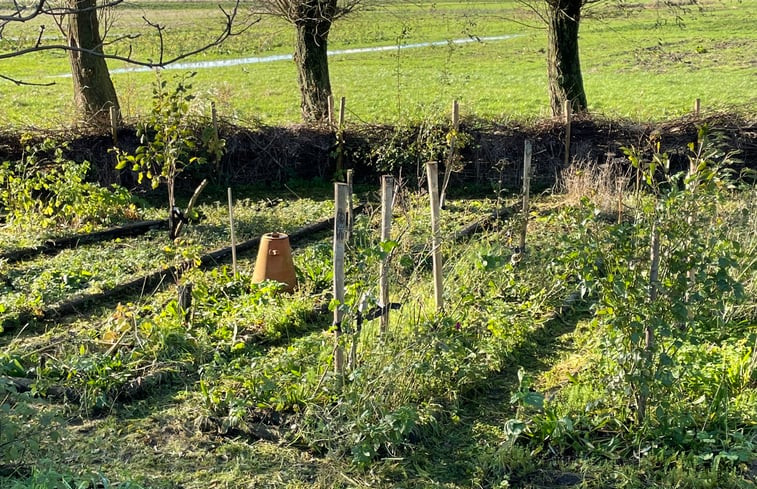 Natuurhuisje in Grou