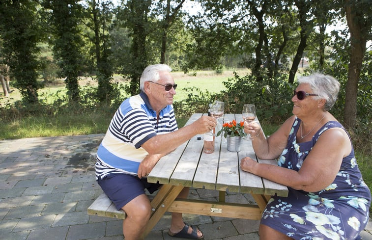 Natuurhuisje in Lemele