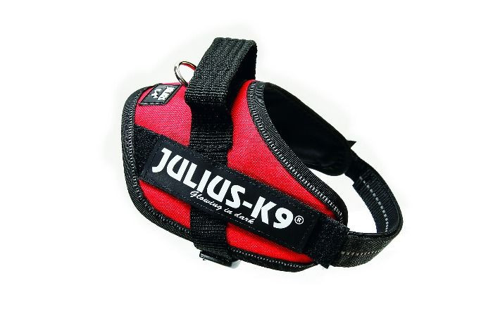 Julius K9 IDC Powertuig Mini Rood