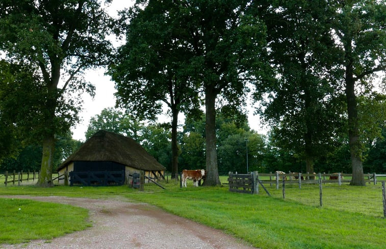 Natuurhuisje in Markelo