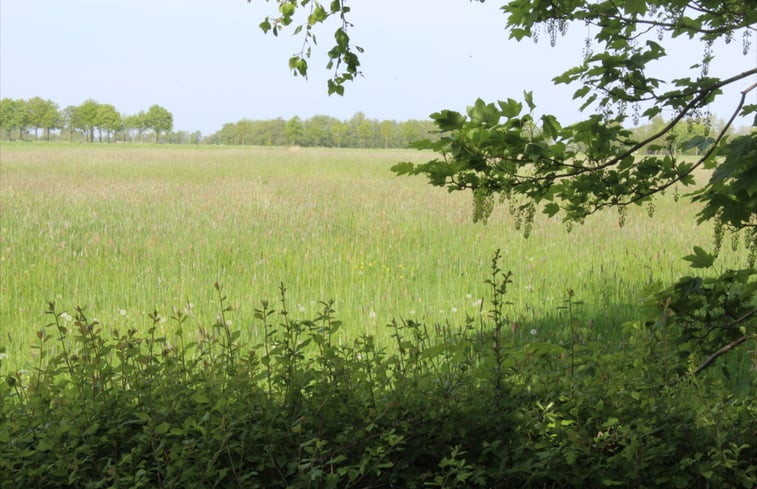 Natuurhuisje in Oldekerk