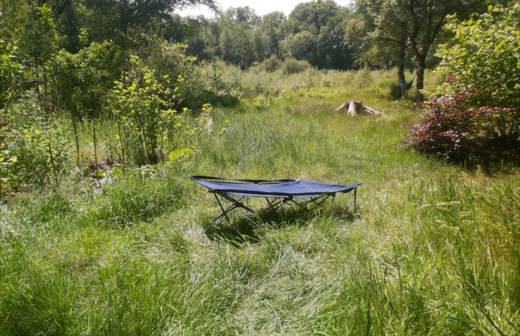 Natuurhuisje in Wijster