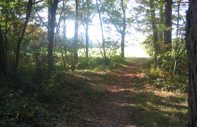 Natuurhuisje in Diepenheim