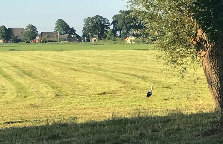 Natuurhuisje in Tytsjerk