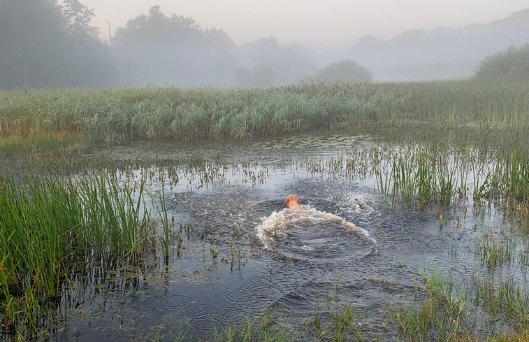 Natuurhuisje in Doldersum