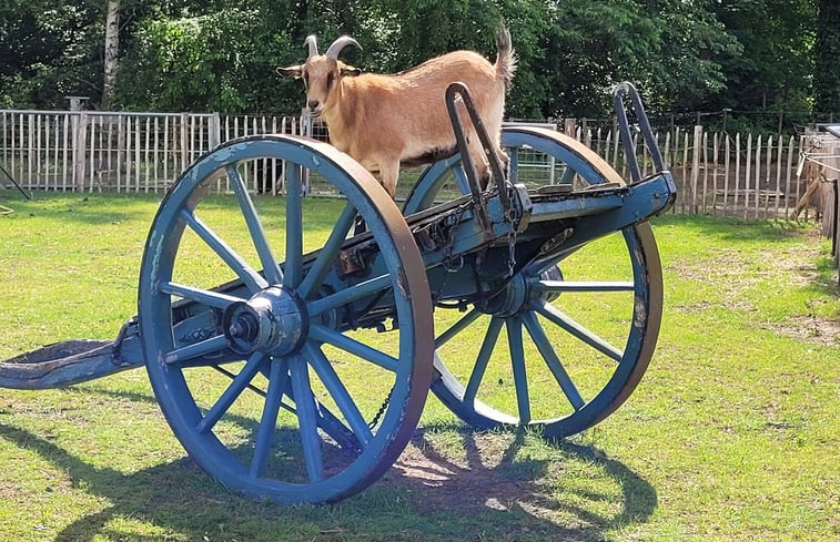 Natuurhuisje in Ruurlo