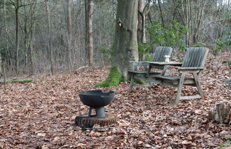 Natuurhuisje in Elspeet