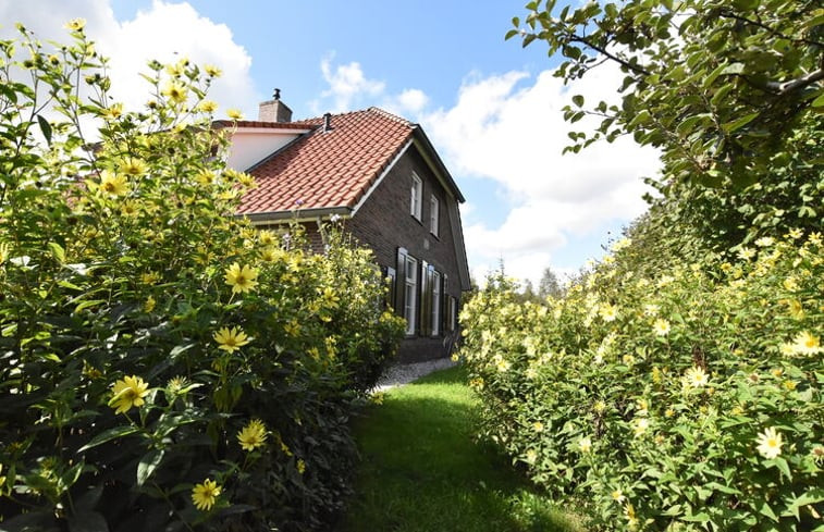 Natuurhuisje in Hollandscheveld