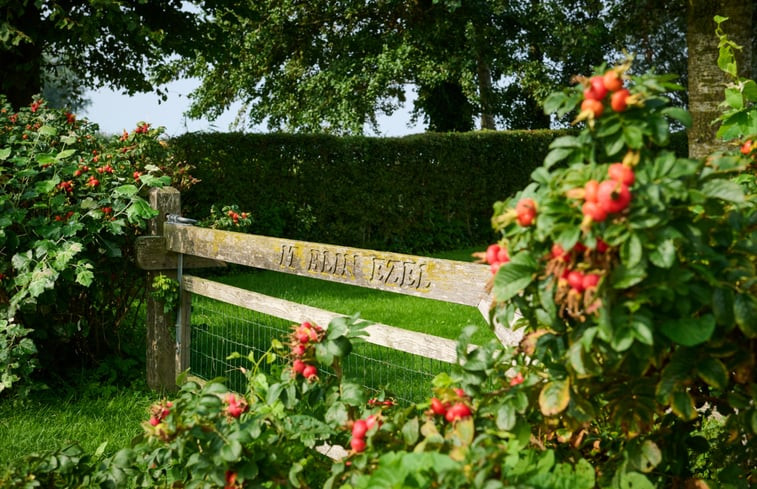 Natuurhuisje in Elahuizen