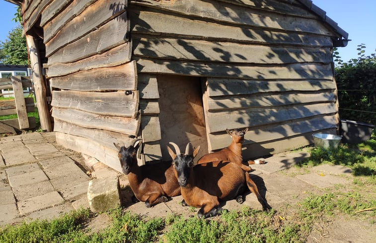 Natuurhuisje in Sibbe