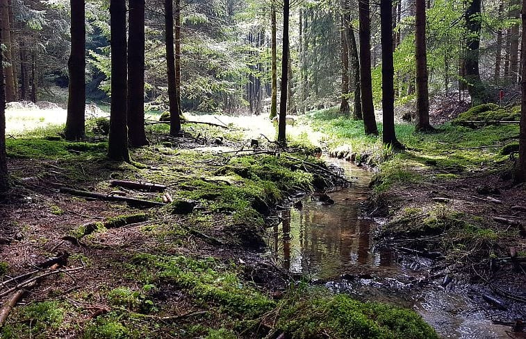 Natuurhuisje in Mengkofen