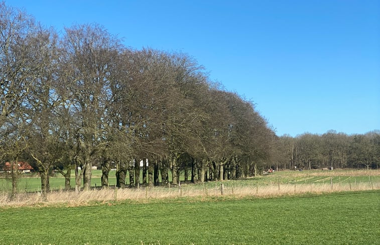 Natuurhuisje in Holten