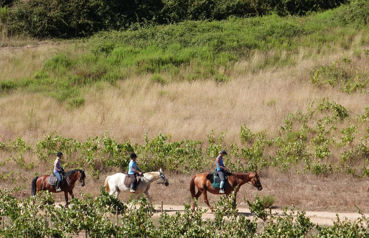 Natuurhuisje in Cercal do Alentejo