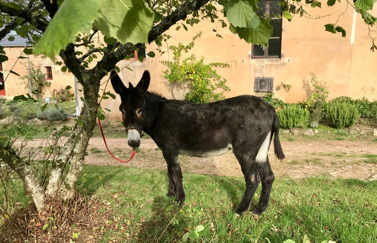 Natuurhuisje in Bussières