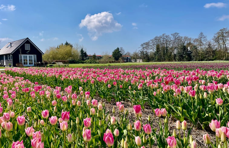 Natuurhuisje in Voorhout