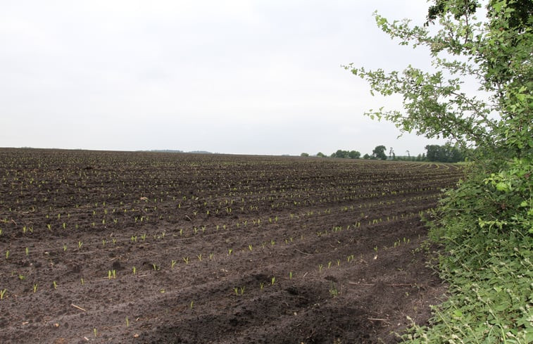 Natuurhuisje in Uffelte