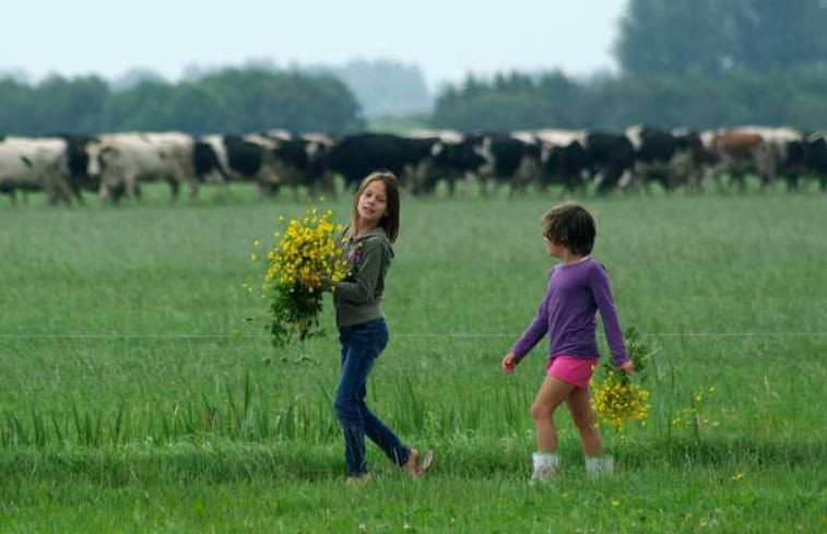 Natuurhuisje in Gaastmeer