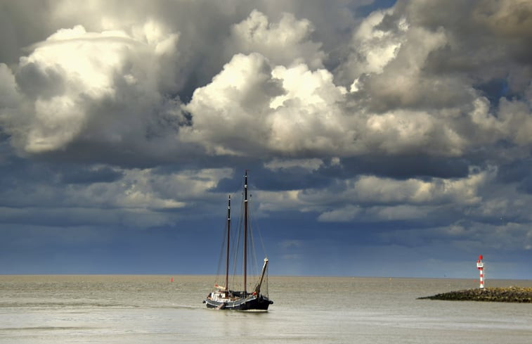 Natuurhuisje in Harlingen