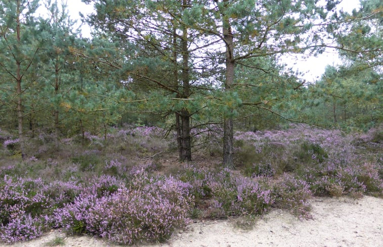 Natuurhuisje in Epe Veluwe