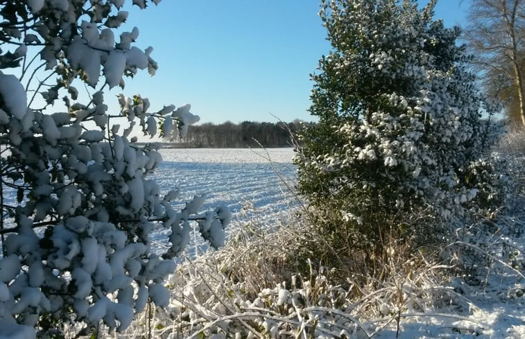 Natuurhuisje in Boijl